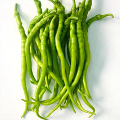 Green Pepper (Tatli Kil Biber)