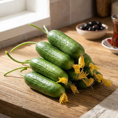 Cucumber (Salatalık) 1 kg
