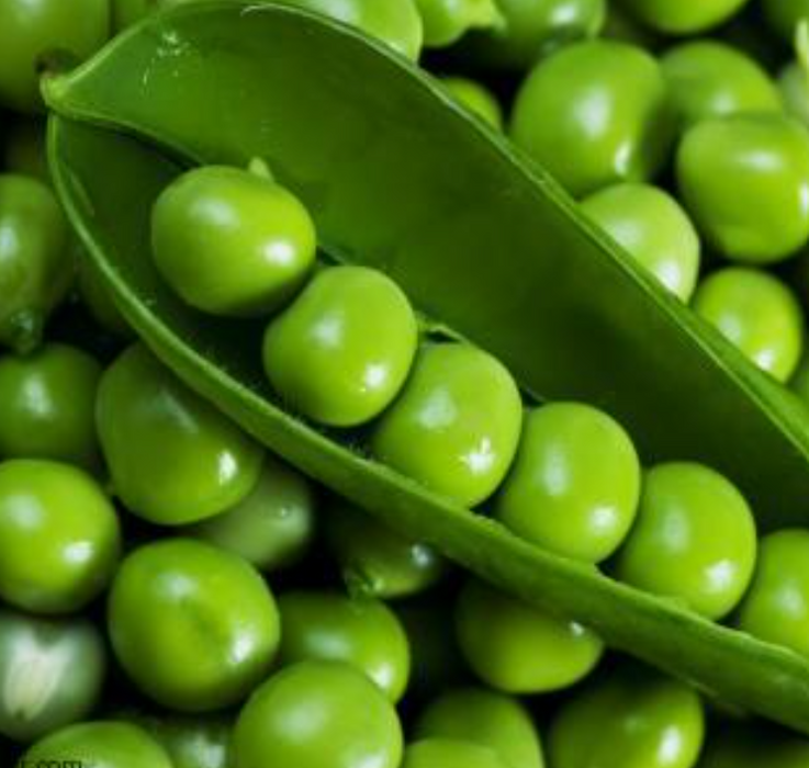 Jarred Green Peas (Bezelye konservesi)