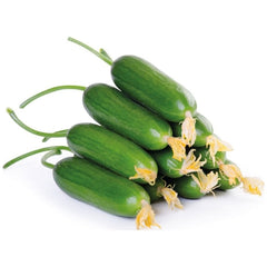 Cucumber (Salatalık) 1 kg